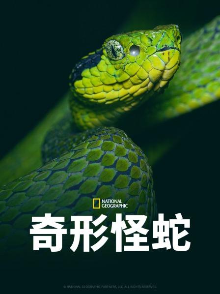 海角社区破解版《奇形怪蛇》免费在线观看