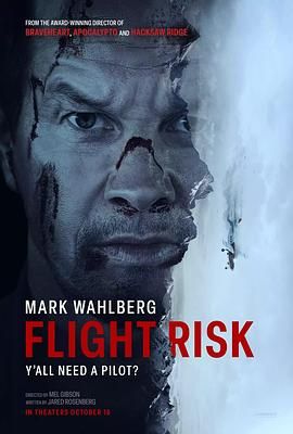 海角社区破解版《插翅难飞 Flight Risk》免费在线观看
